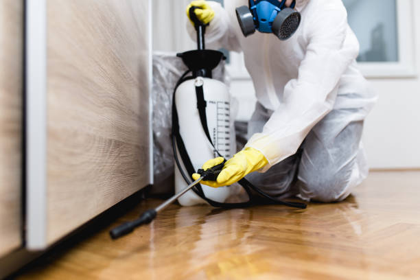 Pest Control Cost in Grove, OK