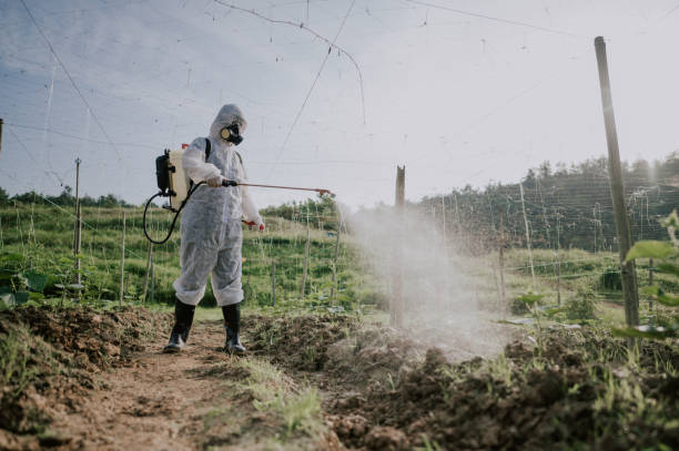 Best Ant Control Services  in Grove, OK
