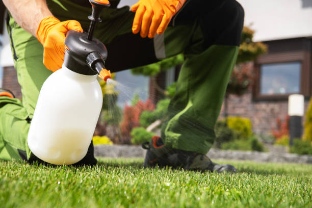 Flea Control Services in Grove, OK
