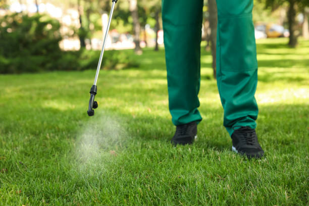 Best Pest Inspection Near Me  in Grove, OK