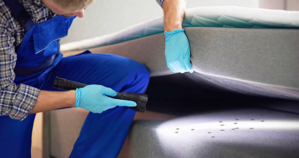 Pest Control for Restaurants in Grove, OK