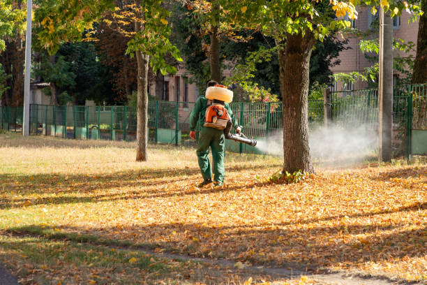 Best Emergency Pest Control  in Grove, OK