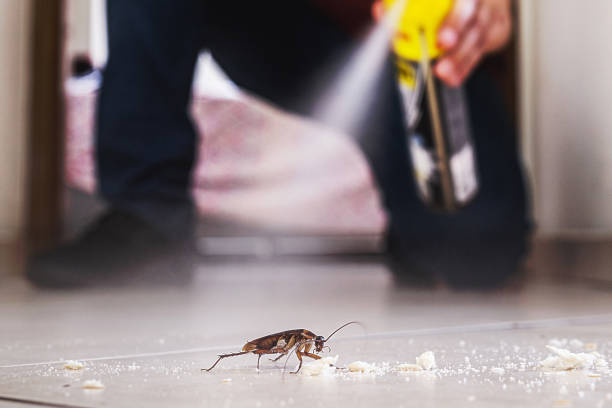 Best Exterminator Services  in Grove, OK