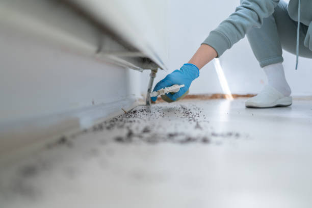 Best Commercial Pest Control Services  in Grove, OK