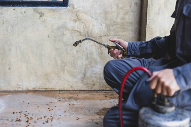 Best Residential Pest Control  in Grove, OK