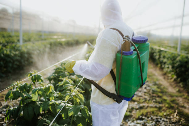 Best Insect Control  in Grove, OK